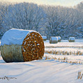 Frigid Morning Bales by Bruce Morrison Frigid Morning Bales by Bruce Morrison