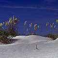 Fripp Island Photograph by Farol Tomson Fripp Island Photograph by Farol Tomson
