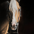 From the Shadows Pastel by Joni Beinborn From the Shadows Pastel by Joni Beinborn