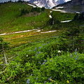 From The Top by Mike Dawson From The Top by Mike Dawson