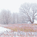 Frostbit Fields Photograph by Rikk Flohr Frostbit Fields Photograph by Rikk Flohr