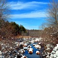 Frosted River Grass Photograph by Dani McEvoy Frosted River Grass Photograph by Dani McEvoy