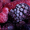 Frozen summer fruits macro Photograph by Simon Bratt Frozen summer fruits macro Photograph by Simon Bratt