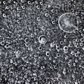 Frozen water background with black below Photograph by Simon Bratt Frozen water background with black below Photograph by Simon Bratt