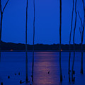 Full Moon Rises 2 Photograph by Raymond Salani III Full Moon Rises 2 Photograph by Raymond Salani III