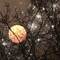 Full Moon Starry Night Photograph by Marianna Mills Full Moon Starry Night Photograph by Marianna Mills