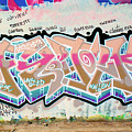 FUNK, FIRST UNITED NATION KINGS, Graffiti Art by King 157, North 11th Street, San Jose, California Photograph by Kathy Anselmo FUNK, FIRST UNITED NATION KINGS, Graffiti Art by King 157, North 11th Street, San Jose, California Photograph by Kathy Anselmo