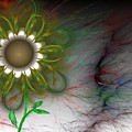Funky Floral by David Lane Funky Floral by David Lane
