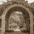 Garden Arch Photograph by Darrell Foster Garden Arch Photograph by Darrell Foster