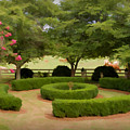 Garden at Colonial Heights by Patricia Montgomery