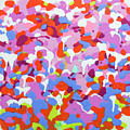 Garden Camo by Claire Desjardins Garden Camo by Claire Desjardins
