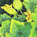 Garden Glow Painting by Lori Taylor Garden Glow Painting by Lori Taylor