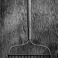 Garden Rake Down by YoPedro Garden Rake Down by YoPedro