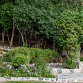 Garden Scene Photograph by K Bradley Washburn