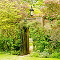 Garden Wall With Iron Gate And Lantern. Photograph by Elena Perelman Garden Wall With Iron Gate And Lantern. Photograph by Elena Perelman