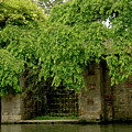 Gate to Cam waters. Photograph by Elena Perelman Gate to Cam waters. Photograph by Elena Perelman