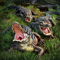 Gator Aid Digital Art by Jerry LoFaro Gator Aid Digital Art by Jerry LoFaro