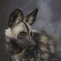 Gazing by Kirsty Rebecca Gazing by Kirsty Rebecca