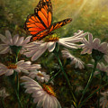 Gentle Landing Painting by Lynne Pittard Gentle Landing Painting by Lynne Pittard