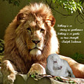Gentle Strength by L Lindall Gentle Strength by L Lindall
