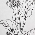Gerber Study I Drawing by Vonda Lawson-Rosa Gerber Study I Drawing by Vonda Lawson-Rosa