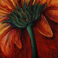 Gerbera Daisy by Nadine Rippelmeyer Gerbera Daisy by Nadine Rippelmeyer