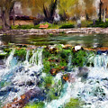 Giant Springs 1 by Susan Kinney Giant Springs 1 by Susan Kinney
