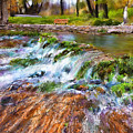 Giant Springs 2 by Susan Kinney Giant Springs 2 by Susan Kinney