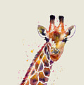 Giraffe Painting by Hailey E Herrera Giraffe Painting by Hailey E Herrera