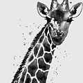 Giraffe in Black and White Painting by Hailey E Herrera Giraffe in Black and White Painting by Hailey E Herrera