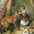 Girl Feeding A Deer by Sir Edwin Landseer Girl Feeding A Deer by Sir Edwin Landseer