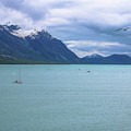 Glacier Bay Alaska Two Photograph by Veronica Batterson Glacier Bay Alaska Two Photograph by Veronica Batterson