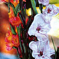Gladiolas by Banning Lary