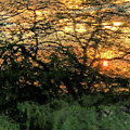 Glass Sunset Hawaii by Heather Coen Glass Sunset Hawaii by Heather Coen