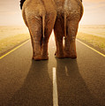 Going away together / travelling by road by Johan Swanepoel Going away together / travelling by road by Johan Swanepoel