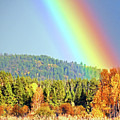 Gold At the End of the Rainbow Photograph by Ted Keller Gold At the End of the Rainbow Photograph by Ted Keller