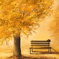 Gold Memories by Veronica Minozzi Gold Memories by Veronica Minozzi