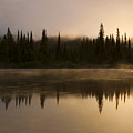Golden Dawn by Mike Dawson Golden Dawn by Mike Dawson