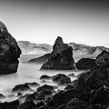 Golden Gate in Black and White Photograph by Chris Cousins