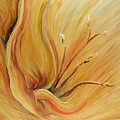 Golden Glow by Nadine Rippelmeyer Golden Glow by Nadine Rippelmeyer