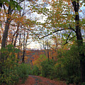 Golden Hour of Autumn Photograph by PJQandFriends Photography Golden Hour of Autumn Photograph by PJQandFriends Photography