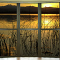 Golden Lake bay Picture Window View Photograph by James BO Insogna Golden Lake bay Picture Window View Photograph by James BO Insogna