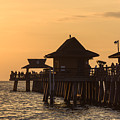 Golden Light at Naples Pier by Ed Gleichman
