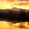 Golden Ponds Longmont Colorado Photograph by James BO Insogna Golden Ponds Longmont Colorado Photograph by James BO Insogna