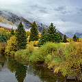 Golden Valley Photograph by Tim Stanley