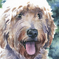 Goldendoodle Painting by David Rogers Goldendoodle Painting by David Rogers