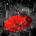 Gone With The Rain by Jorgo Photography - Wall Art Gallery Gone With The Rain by Jorgo Photography - Wall Art Gallery
