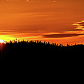 Good Night Photograph by Doug Gibbons Good Night Photograph by Doug Gibbons