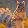 Got Nuts? Pastel by Rita Kirkman Got Nuts? Pastel by Rita Kirkman
