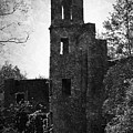 Gothic Tower at Blarney Castle Ireland by Teresa Mucha Gothic Tower at Blarney Castle Ireland by Teresa Mucha
